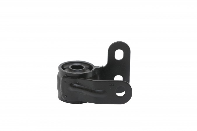 بوش طبق جناقی راست زانتیا رادیکال