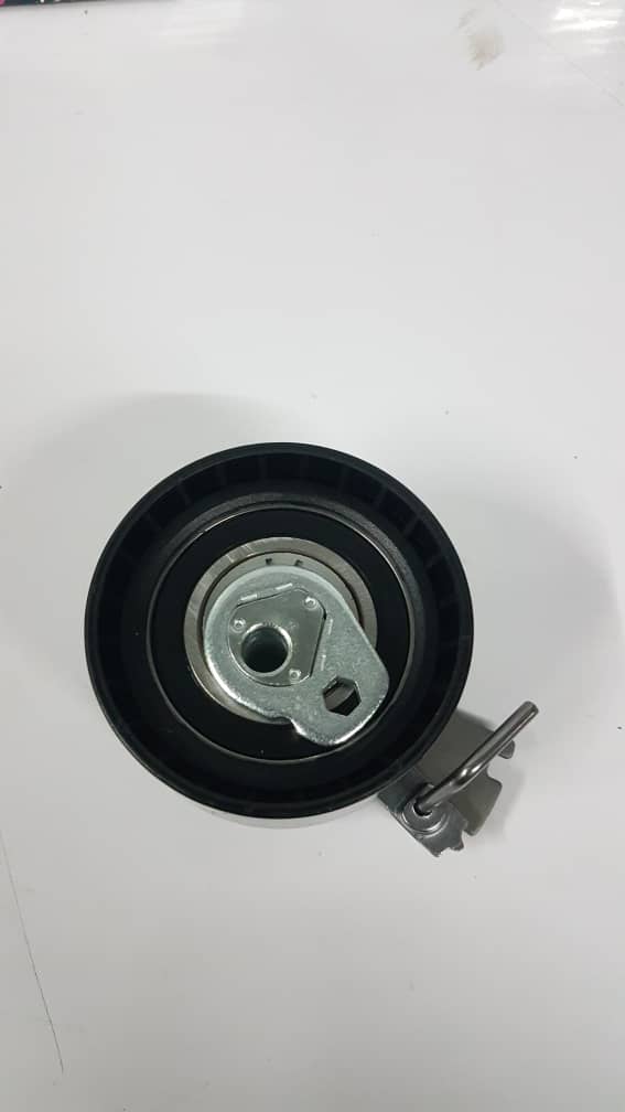 هرزگرد تایم متحرک INA شرکتی پژو 206-T5